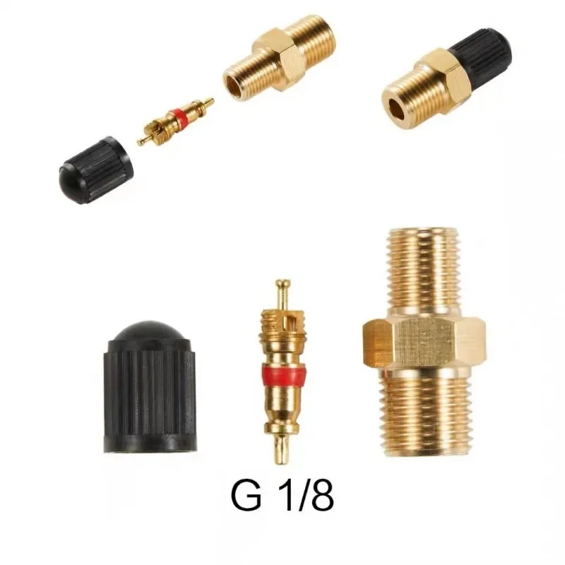 1/4 NPT 1/8 NPT M10*1 Automobi - Tubeless Valve Core reseña y precio