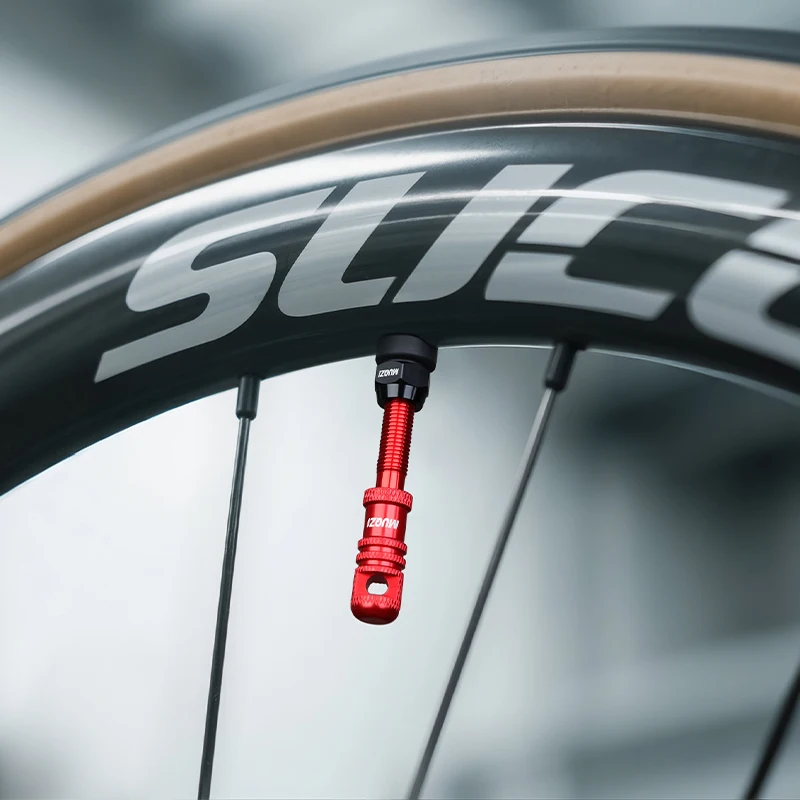 MUQZI Tubeless Presta Valve Ki - Tubeless Valve Core reseña y precio