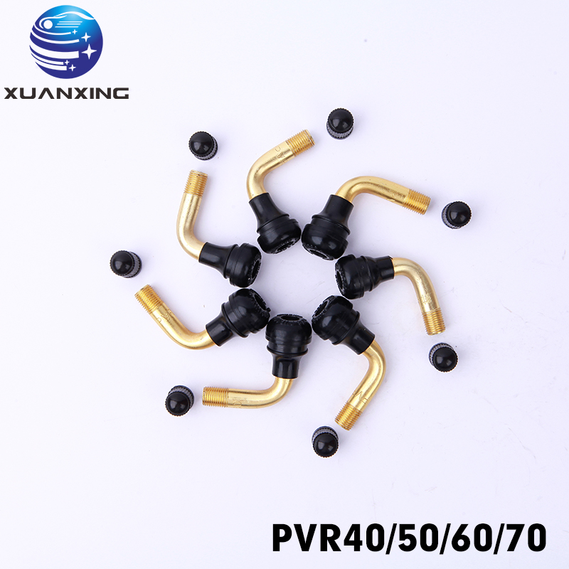 100PCS PVR70 PVR40 PVR50 PVR60 - Tubeless Valve Core reseña y precio