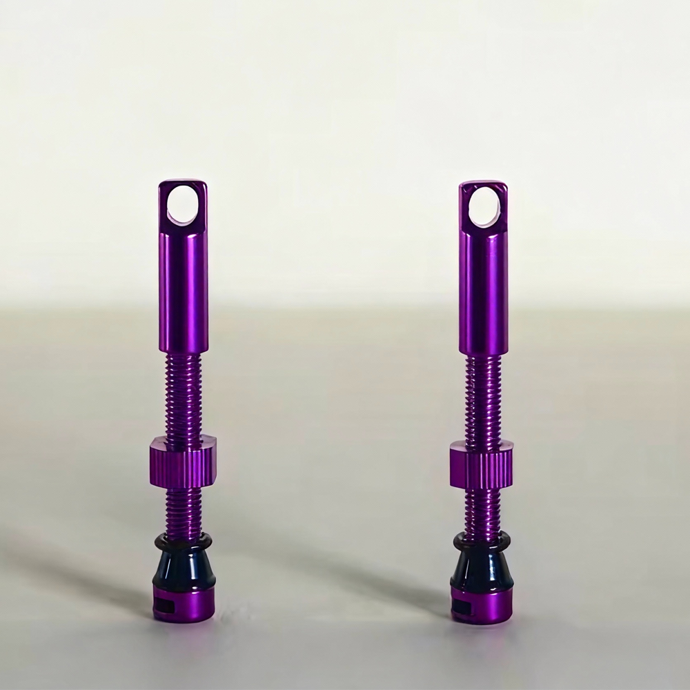 The valve of a bicycle tubeles - Tubeless Valve Core reseña y precio